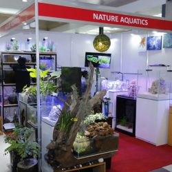 WhatsApp Image 2022-07-19 at 12.53.41 AM